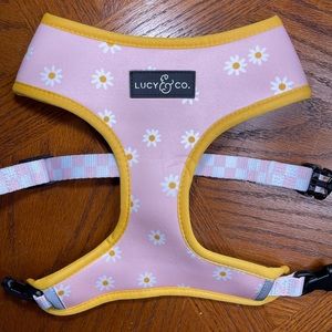 Brand new dog harness.